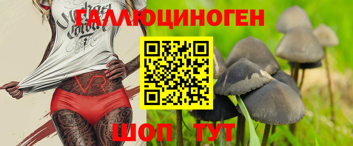 Галлюциногенные грибы GOLDEN TEACHER Новоуральск